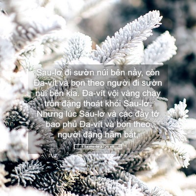 Picture 05 - 1 Sa-mu-ên 23:26 VIE - Sau-lơ đi sườn núi bên nầy, còn - Bible Verse Picture