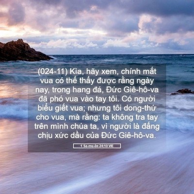 Picture 05 - 1 Sa-mu-ên 24:10 VIE - (024-11) Kìa, hãy xem, chính mắt vua có - Bible Verse Picture