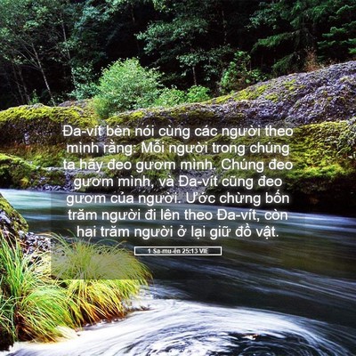 Picture 05 - 1 Sa-mu-ên 25:13 VIE - Đa-vít bèn nói cùng các người theo mình - Bible Verse Picture