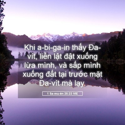 Picture 05 - 1 Sa-mu-ên 25:23 VIE - Khi a-bi-ga-in thấy Đa-vít, liền lật - Bible Verse Picture