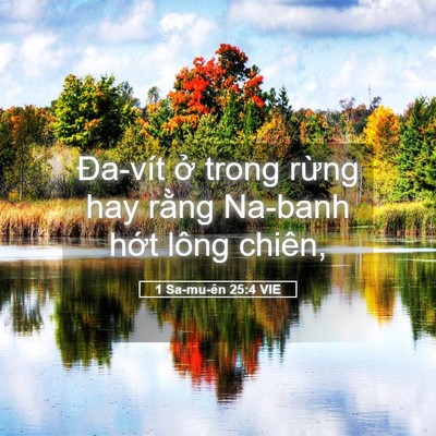 Picture 05 - 1 Sa-mu-ên 25:4 VIE - Đa-vít ở trong rừng hay rằng Na-banh - Bible Verse Picture