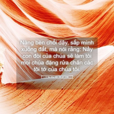 Picture 05 - 1 Sa-mu-ên 25:41 VIE - Nàng bèn chổi dậy, sấp mình xuống - Bible Verse Picture