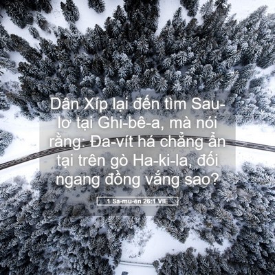 Picture 05 - 1 Sa-mu-ên 26:1 VIE - Dân Xíp lại đến tìm Sau-lơ tại - Bible Verse Picture