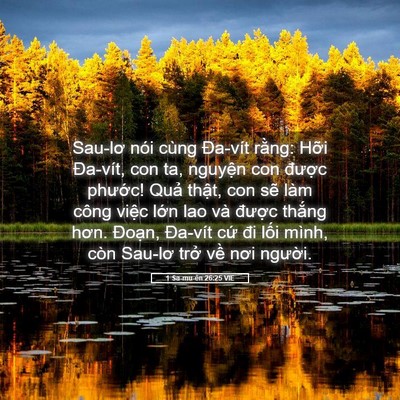 Picture 05 - 1 Sa-mu-ên 26:25 VIE - Sau-lơ nói cùng Đa-vít rằng: Hỡi - Bible Verse Picture