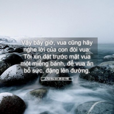 Picture 05 - 1 Sa-mu-ên 28:22 VIE - Vậy bây giờ, vua cũng hãy nghe lời của - Bible Verse Picture