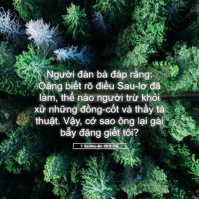 Picture 05 - 1 Sa-mu-ên 28:9 VIE - Người đàn bà đáp rằng: Oâng biết rõ - Bible Verse Picture