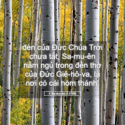 Picture 05 - 1 Sa-mu-ên 3:3 VIE - đèn của Đức Chúa Trời chưa tắt, - Bible Verse Picture