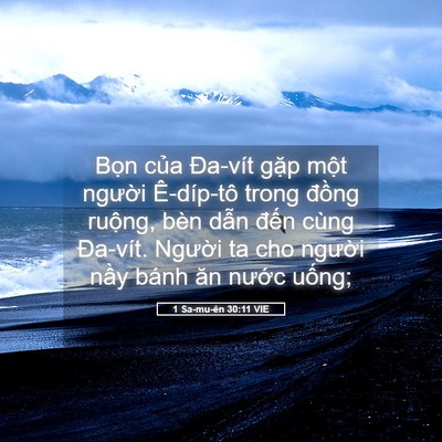Picture 05 - 1 Sa-mu-ên 30:11 VIE - Bọn của Đa-vít gặp một người - Bible Verse Picture