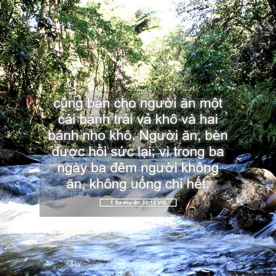 Picture 05 - 1 Sa-mu-ên 30:12 VIE - cũng ban cho người ăn một cái bánh trái - Bible Verse Picture