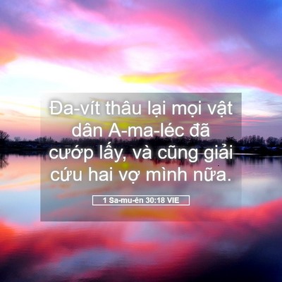 Picture 05 - 1 Sa-mu-ên 30:18 VIE - Đa-vít thâu lại mọi vật dân A-ma-léc - Bible Verse Picture