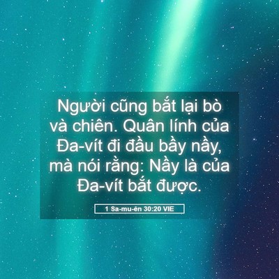 Picture 05 - 1 Sa-mu-ên 30:20 VIE - Người cũng bắt lại bò và chiên. Quân - Bible Verse Picture