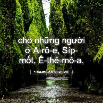 Picture 05 - 1 Sa-mu-ên 30:28 VIE - cho những người ở A-rô-e, Síp-mốt, - Bible Verse Picture