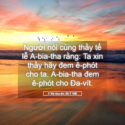 Picture 05 - 1 Sa-mu-ên 30:7 VIE - Người nói cùng thầy tế lễ A-bia-tha - Bible Verse Picture