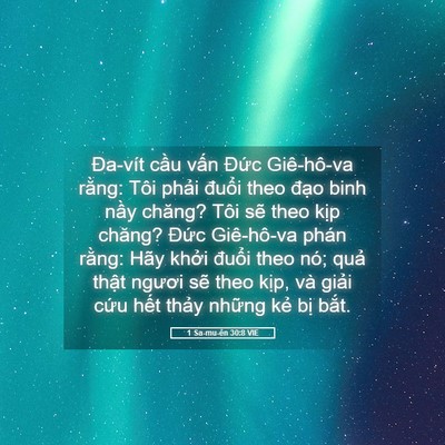 Picture 05 - 1 Sa-mu-ên 30:8 VIE - Đa-vít cầu vấn Đức Giê-hô-va rằng: - Bible Verse Picture