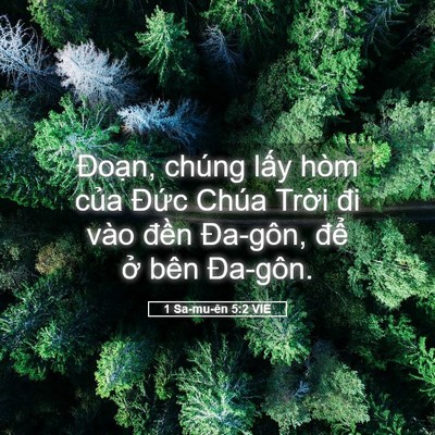 Picture 05 - 1 Sa-mu-ên 5:2 VIE - Đoạn, chúng lấy hòm của Đức Chúa - Bible Verse Picture