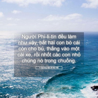 Picture 05 - 1 Sa-mu-ên 6:10 VIE - Người Phi-li-tin đều làm như vậy, bắt - Bible Verse Picture