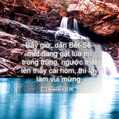 Picture 05 - 1 Sa-mu-ên 6:13 VIE - Bấy giờ, dân Bết-Sê-mết đang gặt - Bible Verse Picture