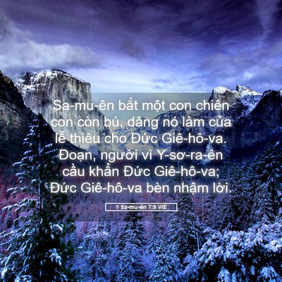 Picture 05 - 1 Sa-mu-ên 7:9 VIE - Sa-mu-ên bắt một con chiên con còn bú, - Bible Verse Picture
