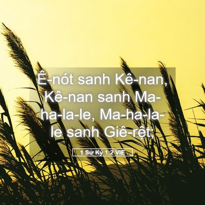 Picture 05 - 1 Sử Ký 1:2 VIE - Ê-nót sanh Kê-nan, Kê-nan sanh Ma-ha-la-le, - Bible Verse Picture