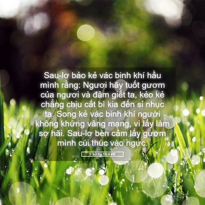 Picture 05 - 1 Sử Ký 10:4 VIE - Sau-lơ bảo kẻ vác binh khí hầu mình - Bible Verse Picture