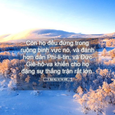 Picture 05 - 1 Sử Ký 11:14 VIE - Còn họ đều đứng trong ruộng binh vực - Bible Verse Picture