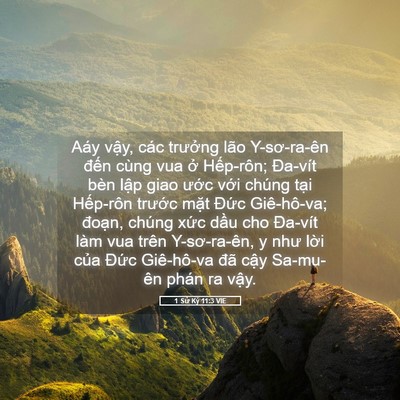 Picture 05 - 1 Sử Ký 11:3 VIE - Aáy vậy, các trưởng lão Y-sơ-ra-ên - Bible Verse Picture