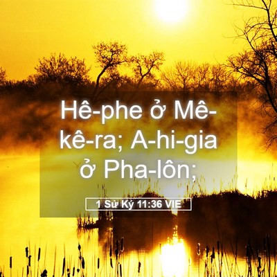 Picture 05 - 1 Sử Ký 11:36 VIE - Hê-phe ở Mê-kê-ra; A-hi-gia ở - Bible Verse Picture