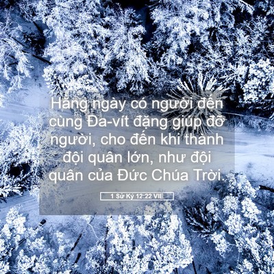 Picture 05 - 1 Sử Ký 12:22 VIE - Hằng ngày có người đến cùng Đa-vít - Bible Verse Picture