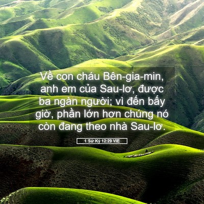 Picture 05 - 1 Sử Ký 12:29 VIE - Về con cháu Bên-gia-min, anh em của - Bible Verse Picture
