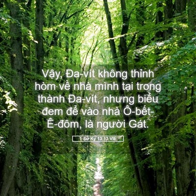 Picture 05 - 1 Sử Ký 13:13 VIE - Vậy, Đa-vít không thỉnh hòm về nhà - Bible Verse Picture