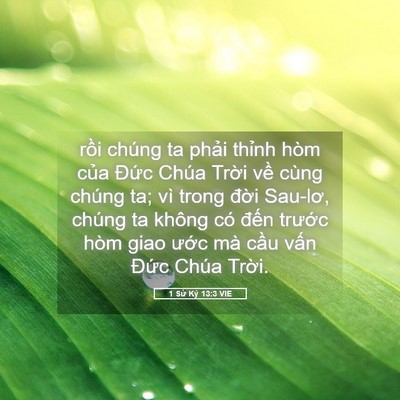 Picture 05 - 1 Sử Ký 13:3 VIE - rồi chúng ta phải thỉnh hòm của Đức - Bible Verse Picture