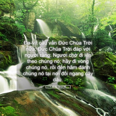 Picture 05 - 1 Sử Ký 14:14 VIE - Đa-vít cầu vấn Đức Chúa Trời nữa; - Bible Verse Picture