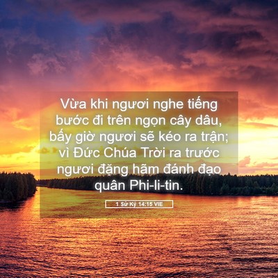 Picture 05 - 1 Sử Ký 14:15 VIE - Vừa khi ngươi nghe tiếng bước đi trên - Bible Verse Picture