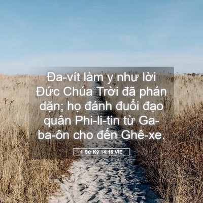 Picture 05 - 1 Sử Ký 14:16 VIE - Đa-vít làm y như lời Đức Chúa Trời - Bible Verse Picture
