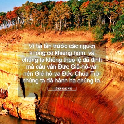 Picture 05 - 1 Sử Ký 15:13 VIE - Vì tại lần trước các ngươi không có - Bible Verse Picture