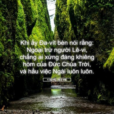 Picture 05 - 1 Sử Ký 15:2 VIE - Khi ấy Đa-vít bèn nói rằng: Ngoại trừ - Bible Verse Picture