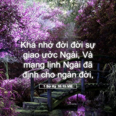 Picture 05 - 1 Sử Ký 16:15 VIE - Khá nhớ đời đời sự giao ước Ngài, - Bible Verse Picture