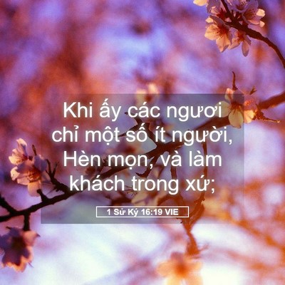 Picture 05 - 1 Sử Ký 16:19 VIE - Khi ấy các ngươi chỉ một số ít - Bible Verse Picture