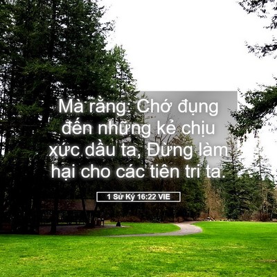 Picture 05 - 1 Sử Ký 16:22 VIE - Mà rằng: Chớ đụng đến những kẻ - Bible Verse Picture
