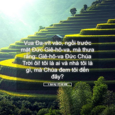 Picture 05 - 1 Sử Ký 17:16 VIE - Vua Đa-vít vào, ngồi trước mặt Đức - Bible Verse Picture