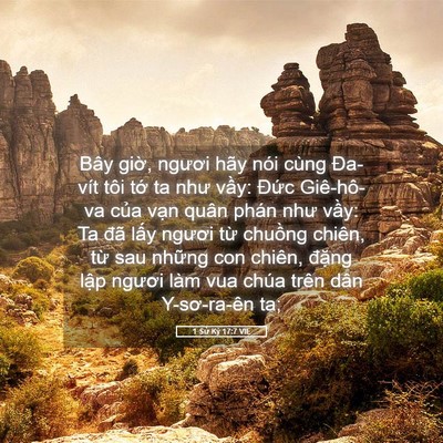 Picture 05 - 1 Sử Ký 17:7 VIE - Bây giờ, ngươi hãy nói cùng Đa-vít tôi - Bible Verse Picture