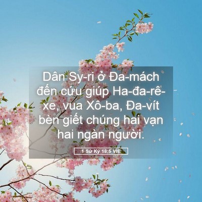 Picture 05 - 1 Sử Ký 18:5 VIE - Dân Sy-ri ở Đa-mách đến cứu giúp - Bible Verse Picture