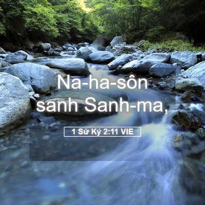 Picture 05 - 1 Sử Ký 2:11 VIE - Na-ha-sôn sanh - Bible Verse Picture
