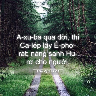 Picture 05 - 1 Sử Ký 2:19 VIE - A-xu-ba qua đời, thì Ca-lép lấy - Bible Verse Picture