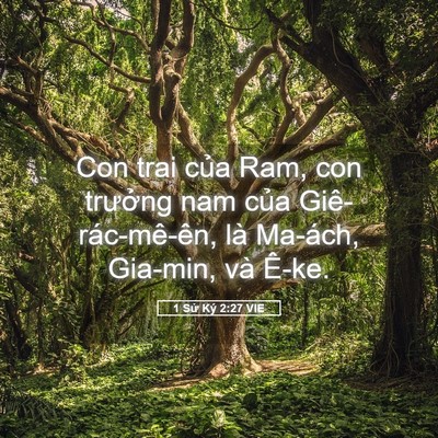 Picture 05 - 1 Sử Ký 2:27 VIE - Con trai của Ram, con trưởng nam của - Bible Verse Picture