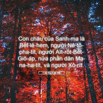 Picture 05 - 1 Sử Ký 2:54 VIE - Con cháu của Sanh-ma là Bết-lê-hem, - Bible Verse Picture