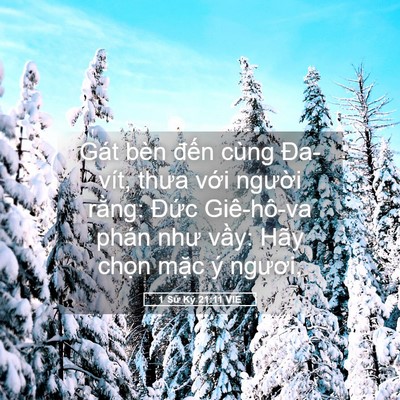 Picture 05 - 1 Sử Ký 21:11 VIE - Gát bèn đến cùng Đa-vít, thưa với - Bible Verse Picture