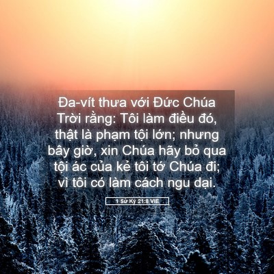 Picture 05 - 1 Sử Ký 21:8 VIE - Đa-vít thưa với Đức Chúa Trời rằng: - Bible Verse Picture