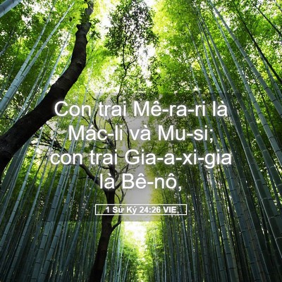 Picture 05 - 1 Sử Ký 24:26 VIE - Con trai Mê-ra-ri là Mác-li và Mu-si; con - Bible Verse Picture