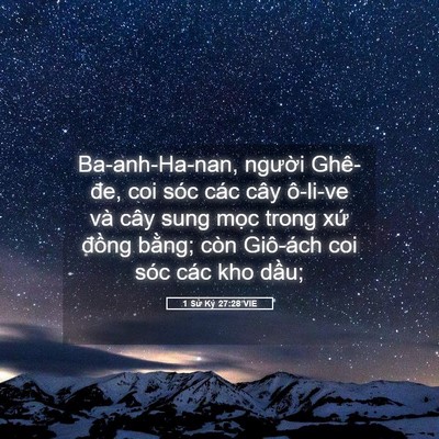 Picture 05 - 1 Sử Ký 27:28 VIE - Ba-anh-Ha-nan, người Ghê-đe, coi sóc các - Bible Verse Picture